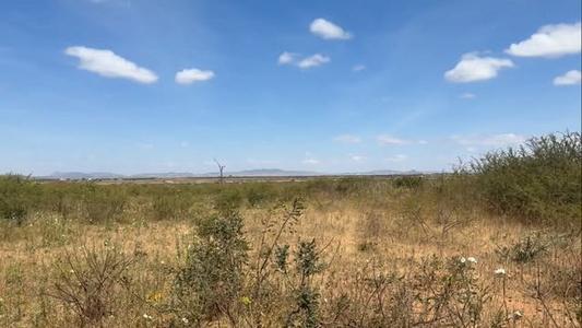 Viwanja vinauzwa Kitelela, Dodoma (800 sqm) Viwanja vinauzwa Kitelela, Dodoma (800 sqm)