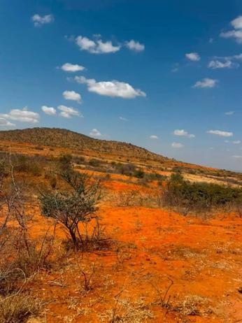 Farm for sale in Dodoma acre 5 Farm for sale in Dodoma acre 5