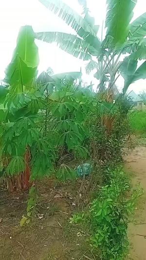 Nyumba ya chumba kimoja inauzwa Kibaha Miembe Saba, Pwani (360 sqm)