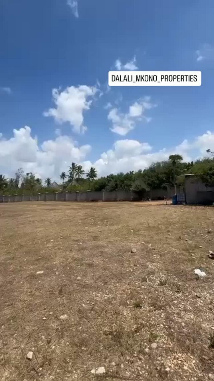 media -1 media -1