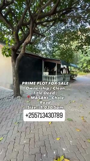 Residential Plot for Sale in Masaki, Dar Es Salaam (1030 sqm) Residential Plot for Sale in Masaki, Dar Es Salaam (1030 sqm)
