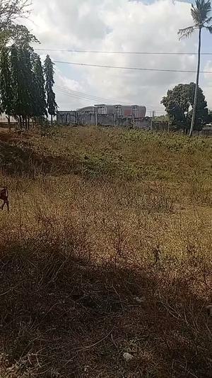 Kiwanja kinauzwa Mbezi Magufuli, Dar Es Salaam (1 acre)