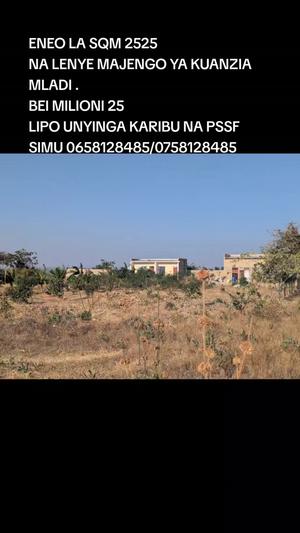 Kiwanja kinauzwa Unyinga, Singida (2525 sqm) Kiwanja kinauzwa Unyinga, Singida (2525 sqm)