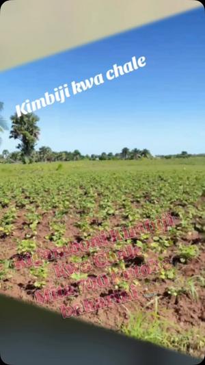 Beach Plot for Sale in Kimbiji Kwa Chale, Dar Es Salaam