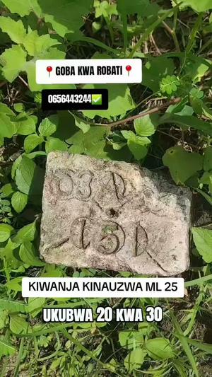 Residential Plot for Sale in Mbezi, Dar Es Salaam (600 sqm) Residential Plot for Sale in Mbezi, Dar Es Salaam (600 sqm)