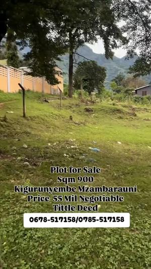 Plot for sale in Kigurunyembe Mizambarauni, Morogoro sqm 900