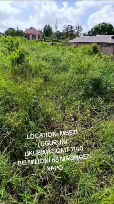 Kiwanja kinauzwa MBEZI LUGURUNI, Dar Es Salaam (1140 sqm) Kiwanja kinauzwa MBEZI LUGURUNI, Dar Es Salaam (1140 sqm)