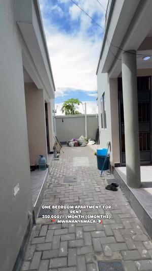 1 Bedroom Apartment for Rent in Mwananyamala, Dar Es Salaam