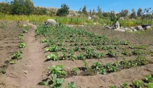 Beach Plot for Sale in Kayenze, Mwanza (2 acre) Beach Plot for Sale in Kayenze, Mwanza (2 acre)