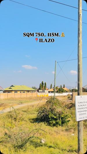 Residential Plot for Sale in Ilazo West, Dodoma (750 sqm)