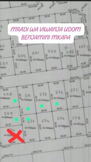 Residential Plots for Sale in Udom Ndwene, Dodoma (734 sqm)