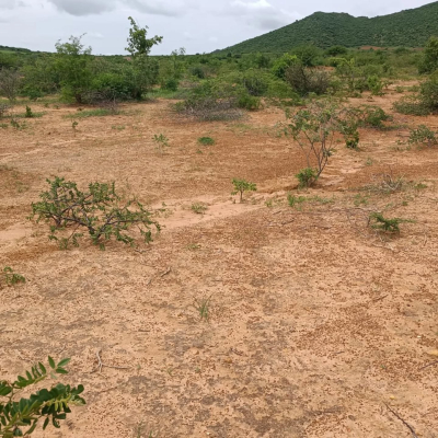 Kiwanja kinauzwa Ntyuka, Dodoma Kiwanja kinauzwa Ntyuka, Dodoma