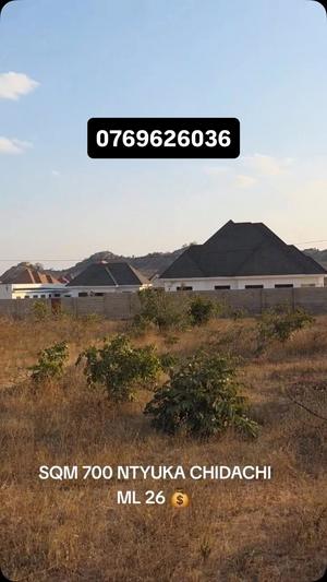 Kiwanja kinauzwa Ntyuka Chidachi, Dodoma (700 sqm) Kiwanja kinauzwa Ntyuka Chidachi, Dodoma (700 sqm)