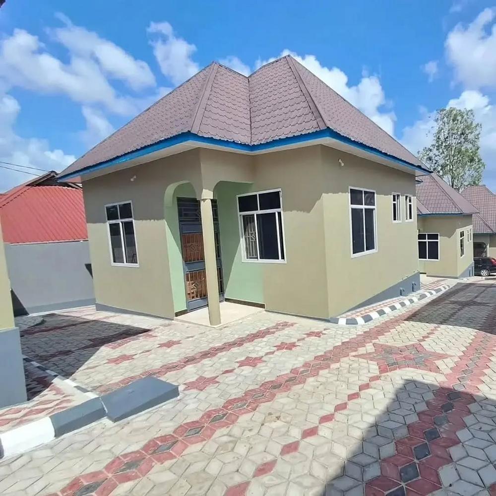  media -1