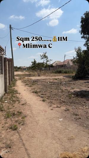 Kiwanja kinauzwa Mlimwa C, Dodoma sqm 250 Kiwanja kinauzwa Mlimwa C, Dodoma sqm 250