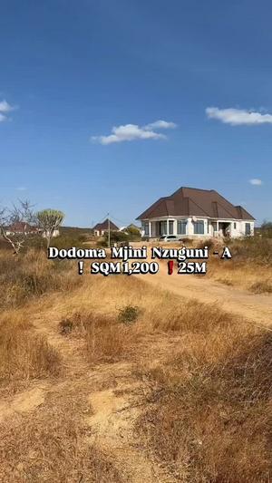 Plot for sale in Nzuguni A, Dodoma sqm 1200