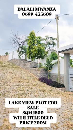 Kiwanja kinauzwa Ibanda, Mwanza sqm 1800 Kiwanja kinauzwa Ibanda, Mwanza sqm 1800