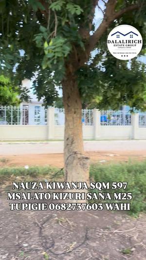 Kiwanja kinauzwa Msalato, Dodoma sqm 597