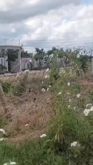 Kiwanja kinauzwa Mtumba, Dodoma (535 sqm) Kiwanja kinauzwa Mtumba, Dodoma (535 sqm)