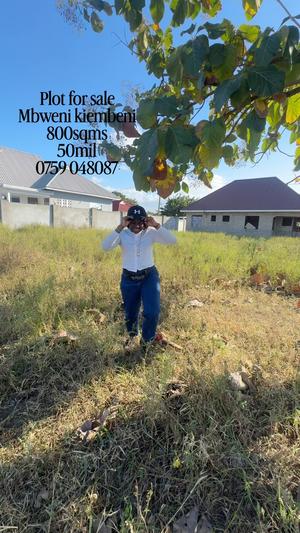 Plots for sale in Bunju Mianzini, Dar Es Salaam