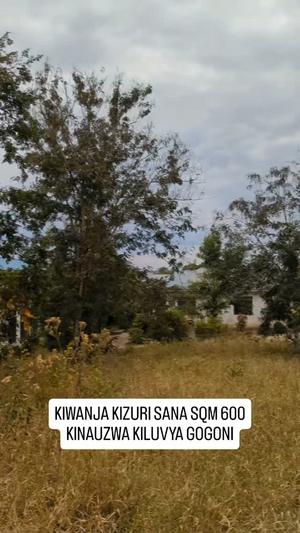 Kiwanja kinauzwa Kiluvya Gogoni, Pwani (600 sqm) Kiwanja kinauzwa Kiluvya Gogoni, Pwani (600 sqm)
