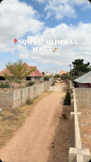 Kiwanja kinauzwa Mlimwa C, Dodoma (647 sqm) Kiwanja kinauzwa Mlimwa C, Dodoma (647 sqm)