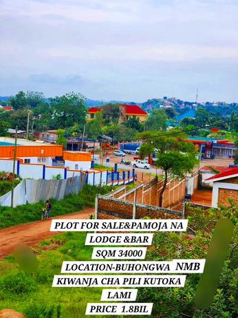 Kiwanja kinauzwa Buhongwa Stendi Nmb, Mwanza (34000 sqm) Kiwanja kinauzwa Buhongwa Stendi Nmb, Mwanza (34000 sqm)