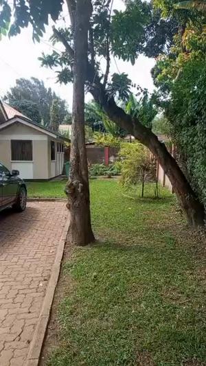 Nyumba (Furnished) ya vyumba vinne inapangishwa Sakina, Arusha Nyumba (Furnished) ya vyumba vinne inapangishwa Sakina, Arusha