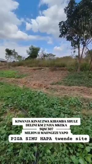 Kiwanja kinauzwa Kibamba Shule, Dar Es Salaam (307 sqm) Kiwanja kinauzwa Kibamba Shule, Dar Es Salaam (307 sqm)