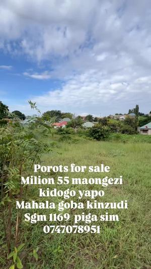 Kiwanja kinauzwa Goba Kinzudi, Dar Es Salaam (1169 sqm)