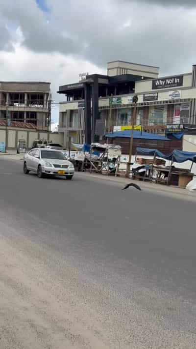 Kiwanja (Residential/Commercial) kinauzwa Goba Road Kituo Cha 3, Dar Es Salaam (800 sqm)