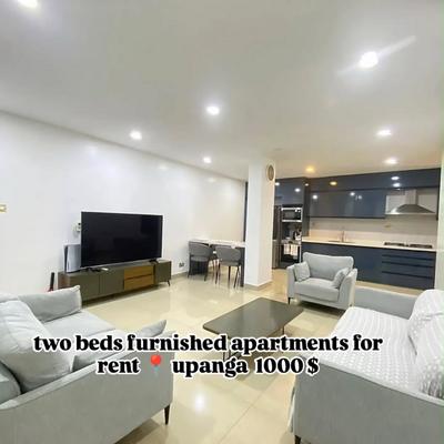 2 Bedrooms Furnished House/Apartment for Rent in Upanga, Dar Es Salaam