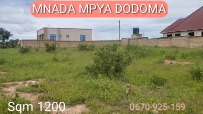 Viwanja vinauzwa Dodoma