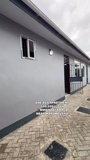 Apartment ya chumba kimoja inapangishwa Mwananyamala, Dar Es Salaam Apartment ya chumba kimoja inapangishwa Mwananyamala, Dar Es Salaam