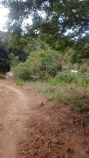 Kiwanja kinauzwa Pugu Shule, Dar Es Salaam sqm 770 Kiwanja kinauzwa Pugu Shule, Dar Es Salaam sqm 770