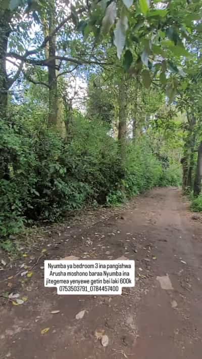 Nyumba ya vyumba vitatu inapangishwa Moshono Baraa, Arusha Nyumba ya vyumba vitatu inapangishwa Moshono Baraa, Arusha