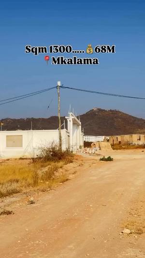 Plot for sale in Mkalama, Morogoro sqm 1300 Plot for sale in Mkalama, Morogoro sqm 1300