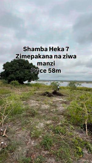 Shamba linauzwa Mwarusembe Mkuranga, Pwani (7 acre)