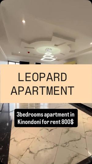 3 Bedrooms Apartment for Rent in Kinondoni, Dar Es Salaam 3 Bedrooms Apartment for Rent in Kinondoni, Dar Es Salaam