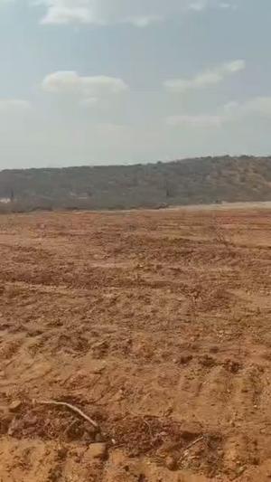 Farm for Sale in Segu Viwandani, Dodoma (35 acre) Farm for Sale in Segu Viwandani, Dodoma (35 acre)