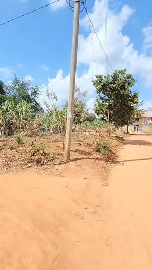 Kiwanja kinauzwa Kifuru Dangote, Dar Es Salaam (800 sqm) Kiwanja kinauzwa Kifuru Dangote, Dar Es Salaam (800 sqm)