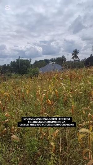 Plot for sale in Mbezi Luguruni, Dar Es Salaam sqm 400 Plot for sale in Mbezi Luguruni, Dar Es Salaam sqm 400