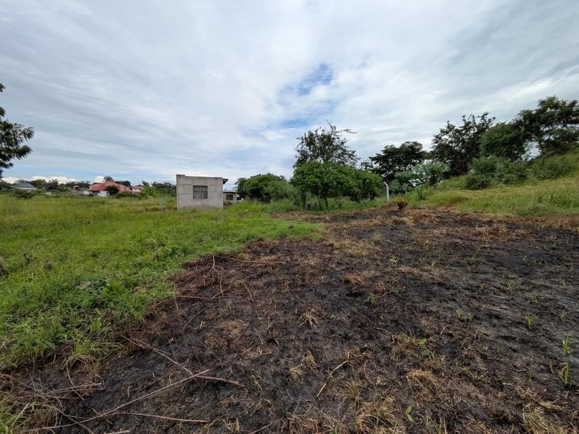  media -1