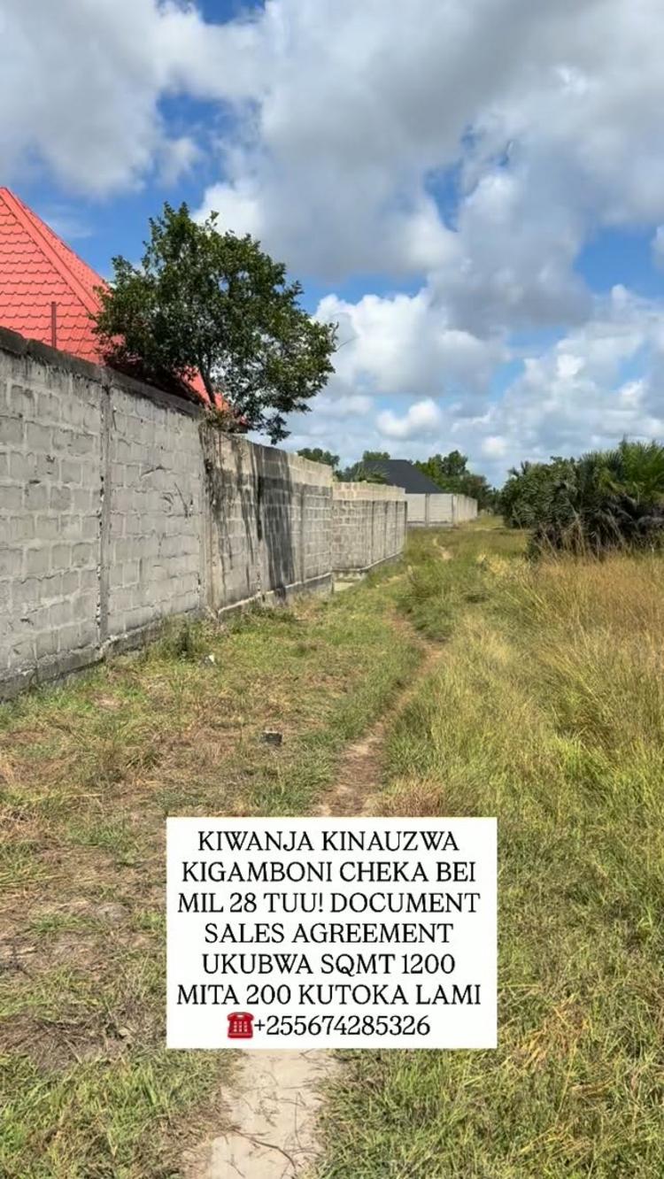 video thumbnail video thumbnail