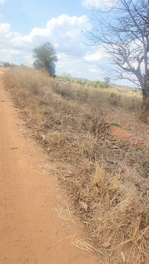 Farm for Sale in Mlete, Ruvuma (2 acre) Farm for Sale in Mlete, Ruvuma (2 acre)