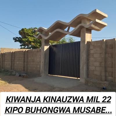 Plot for sale in Buhongwa Musabe, Mwanza Plot for sale in Buhongwa Musabe, Mwanza