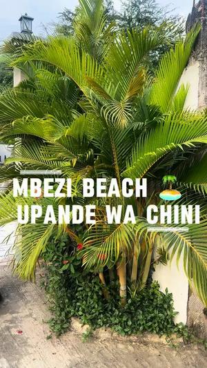 Nyumba/Apartment ya vyumba viwili inapangishwa Mbezi Beach, Dar Es Salaam Nyumba/Apartment ya vyumba viwili inapangishwa Mbezi Beach, Dar Es Salaam