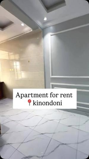 Apartment ya vyumba viwili inapangishwa Kinondoni, Dar Es Salaam