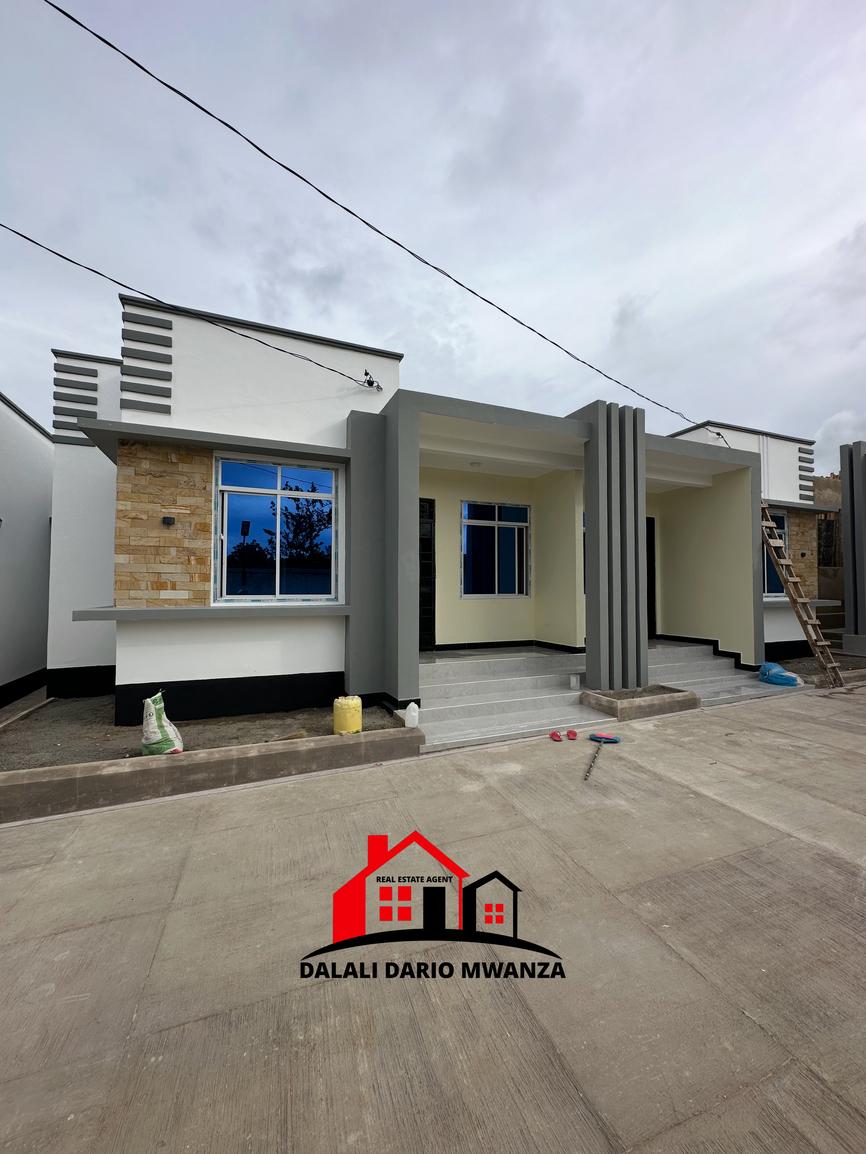media -2