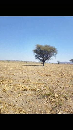 Farm for Sale in Michese, Dodoma (4 acre) Farm for Sale in Michese, Dodoma (4 acre)